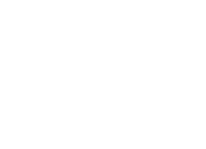 Asset 4