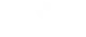 Asset 6